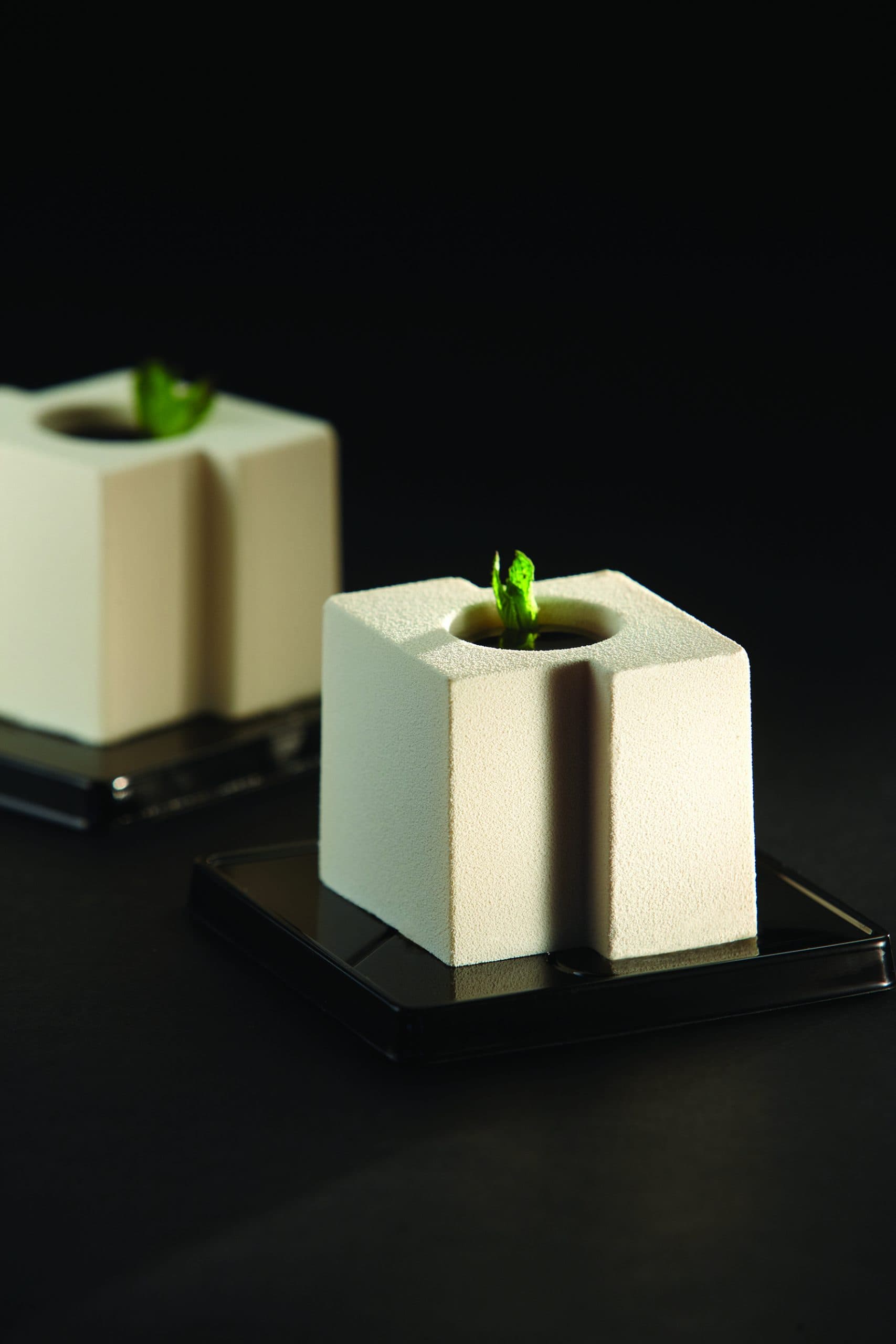 PLAQUEPAVONI PROFESSIONNEL 24 CUBES TEKNO - GAMME PAVOFLEX
