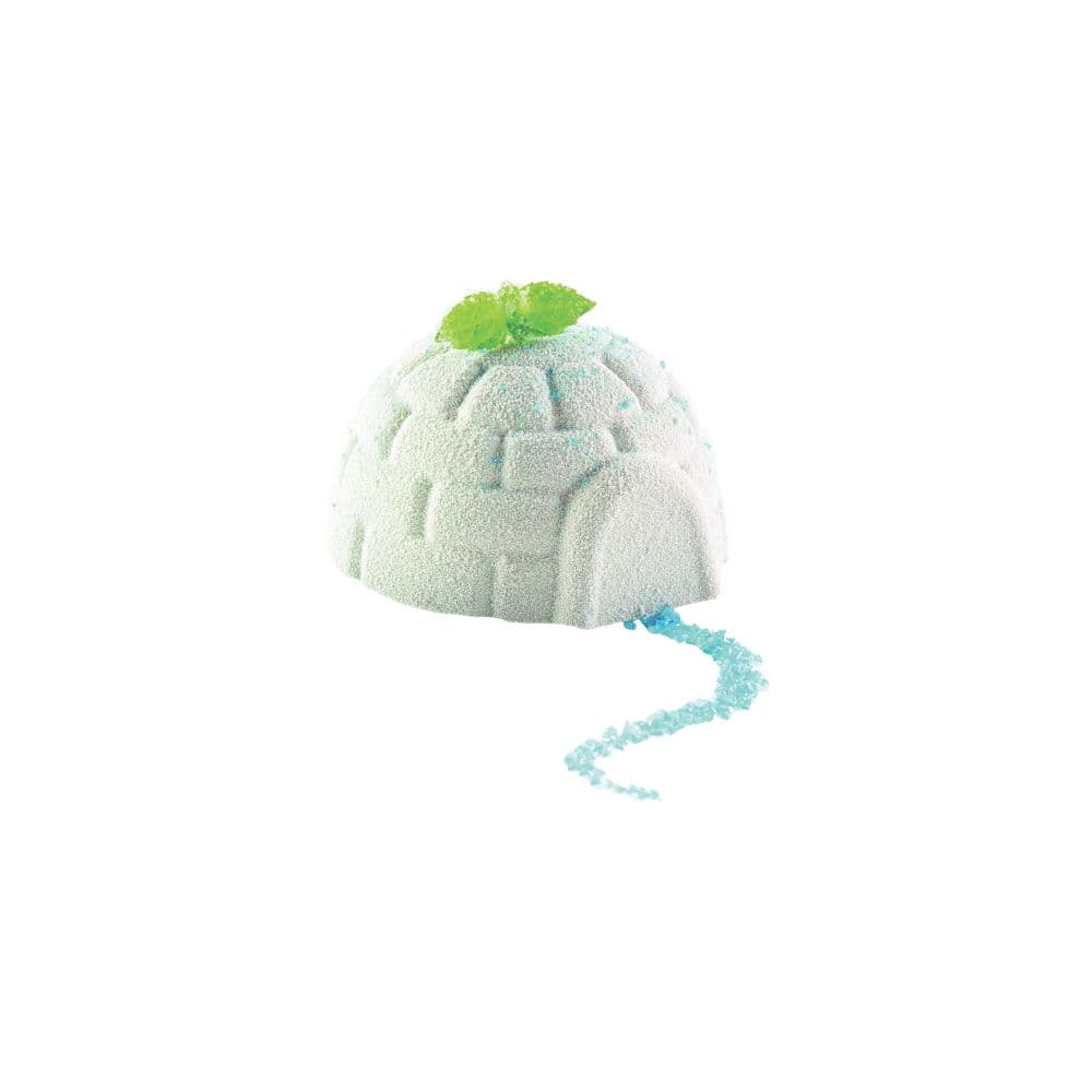 MOULE SILIKOMART PROFESSIONNEL 6 IGLOOS
